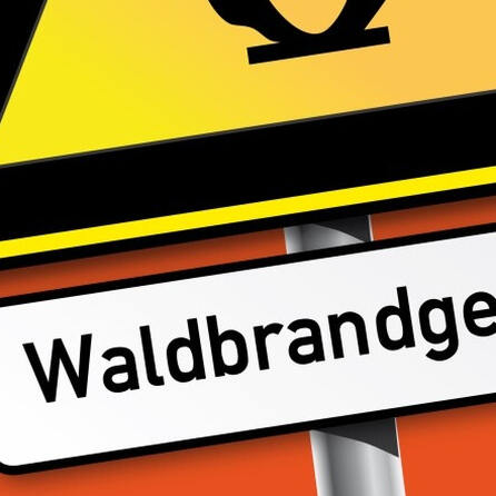 Langenneufnach, Landkreis Augsburg: Brandstiftung im Wald