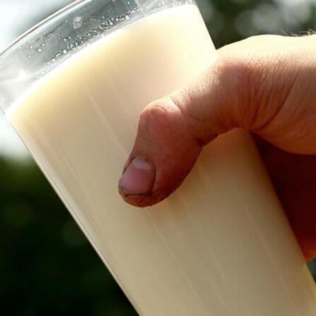 Milch-Warnstreiks? Morgen Kundgebung und Demo in Kempten