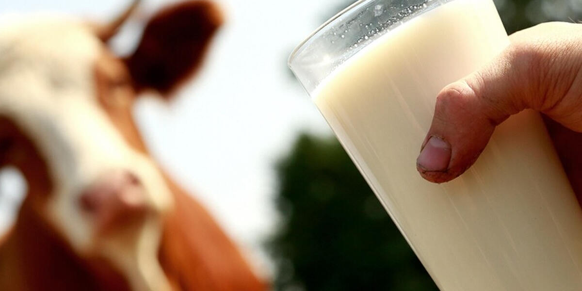 Milch-Warnstreiks? Morgen Kundgebung und Demo in Kempten