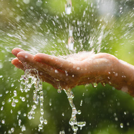 Augsburger Wassercampus: Sommerferienprogramm für Familien und alle Fans von Wasser 