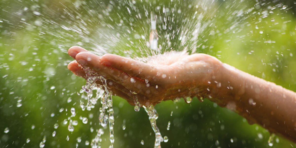 Augsburger Wassercampus: Sommerferienprogramm für Familien und alle Fans von Wasser