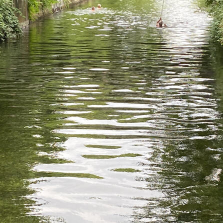 Niedriger Wasserstand im Augsburger Eiskanal - Der Grund liegt am Forggensee im Allgäu