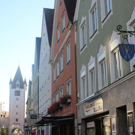 Machbarkeitsstudie zur Mindelheimer Burg 