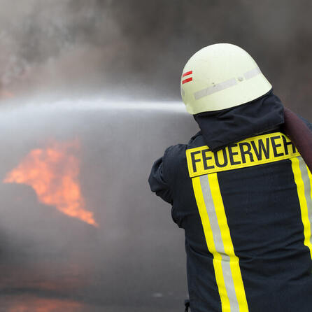 1.300 tote Schweine: Defekte Lüftung war Grund für Großbrand im Schweinestall im Kreis Aichach-Friedberg