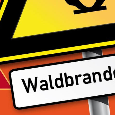 Waldbrandgefahr im Oberallgäu: Wieder Luftbeobachtung angeordnet