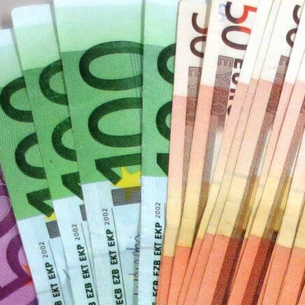 Königspython in Königsbrunn: 500 Euro Belohnung