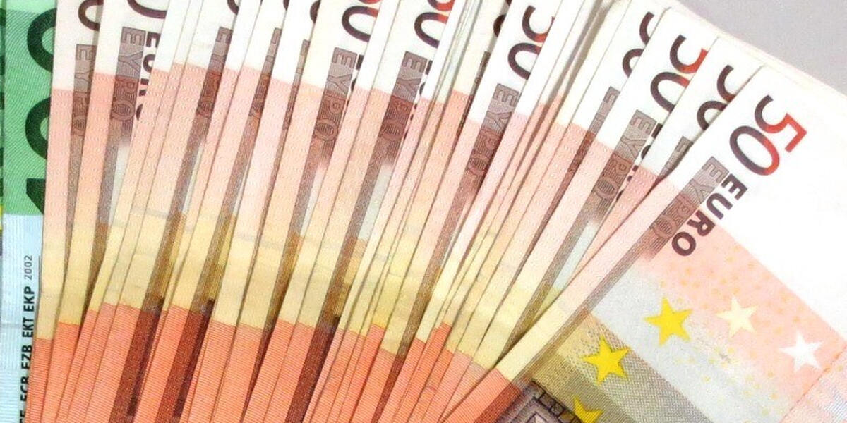 Königspython in Königsbrunn: 500 Euro Belohnung
