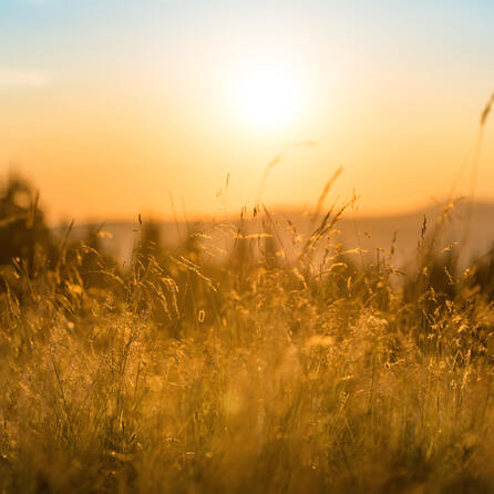 Wärmster Sommer 2026 in Bayern: Rekordhitze und Trockenheit in Schwaben