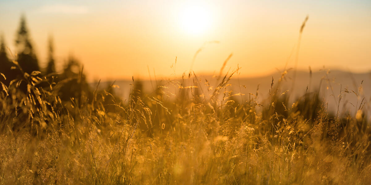 Wärmster Sommer 2026 in Bayern: Rekordhitze und Trockenheit in Schwaben
