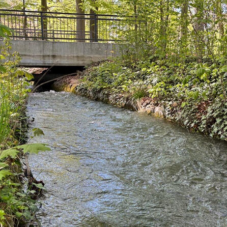 Erst Lochbach- dann Lechseite: Herbstablässe der Augsburger Bäche und Kanäle