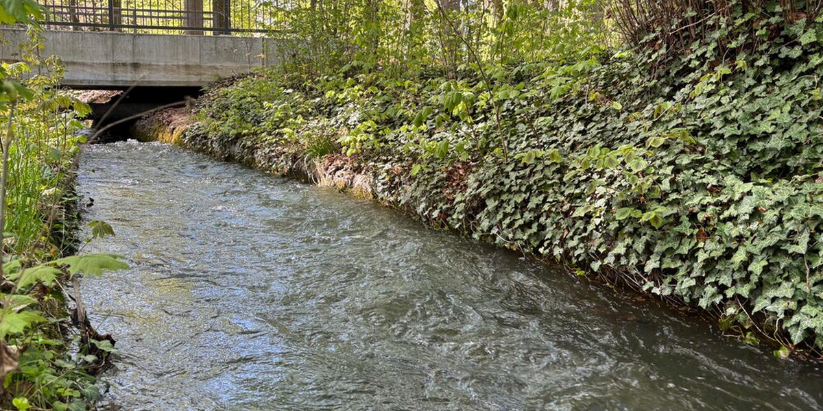 Erst Lochbach- dann Lechseite: Herbstablässe der Augsburger Bäche und Kanäle