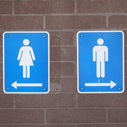 Unisextoiletten in Augsburg geplant - Stadtrat beschließt außerdem Wickeltische auf Männertoiletten