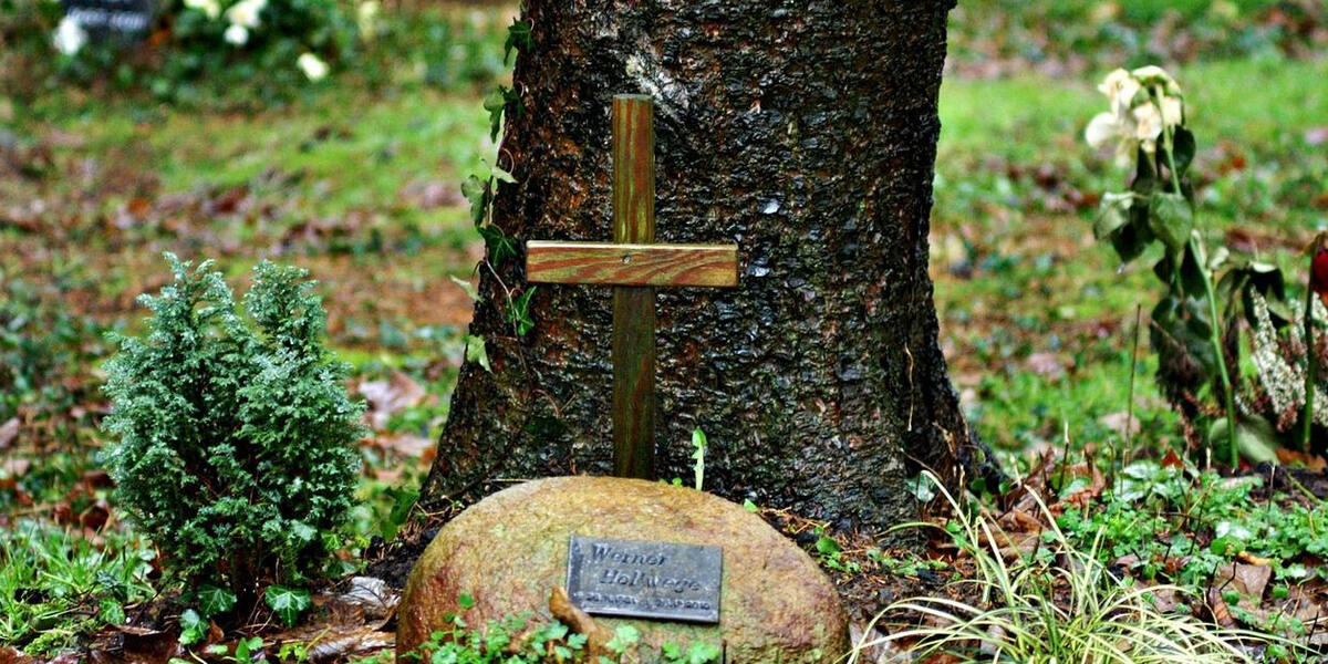 Tierkrematorium in Lauingen ist vom Tisch - Bürgerinitiative spricht sich klar dagegen aus