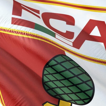 FCA: Pokal am Sonntag, aber ohne Morávek und Finnbogason