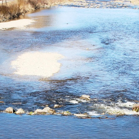 Hitzewelle und Trockenheit bedroht immer mehr Seen und Flüsse im Raum Augsburg