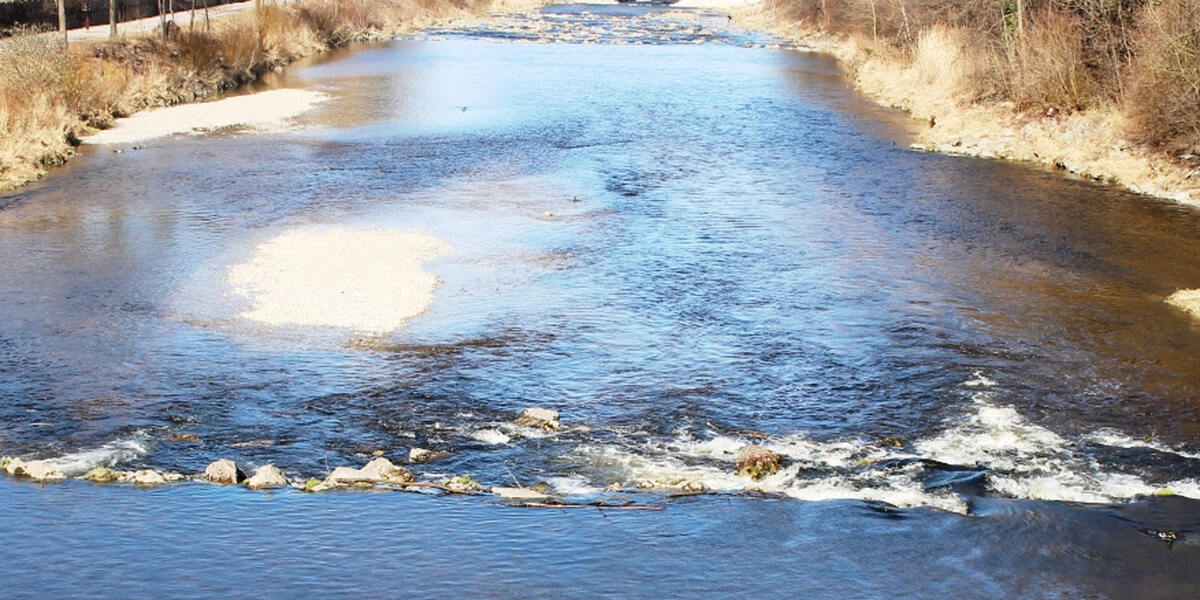 Hitzewelle und Trockenheit bedroht immer mehr Seen und Flüsse im Raum Augsburg