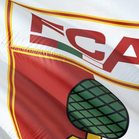FC Augsburg: Finanziell stabil