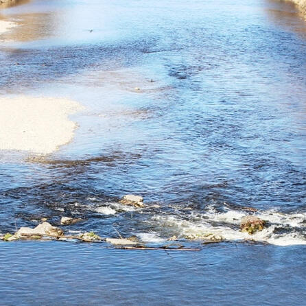 Mann springt in Augsburg von Brücke in Fluss - Motiv unklar 