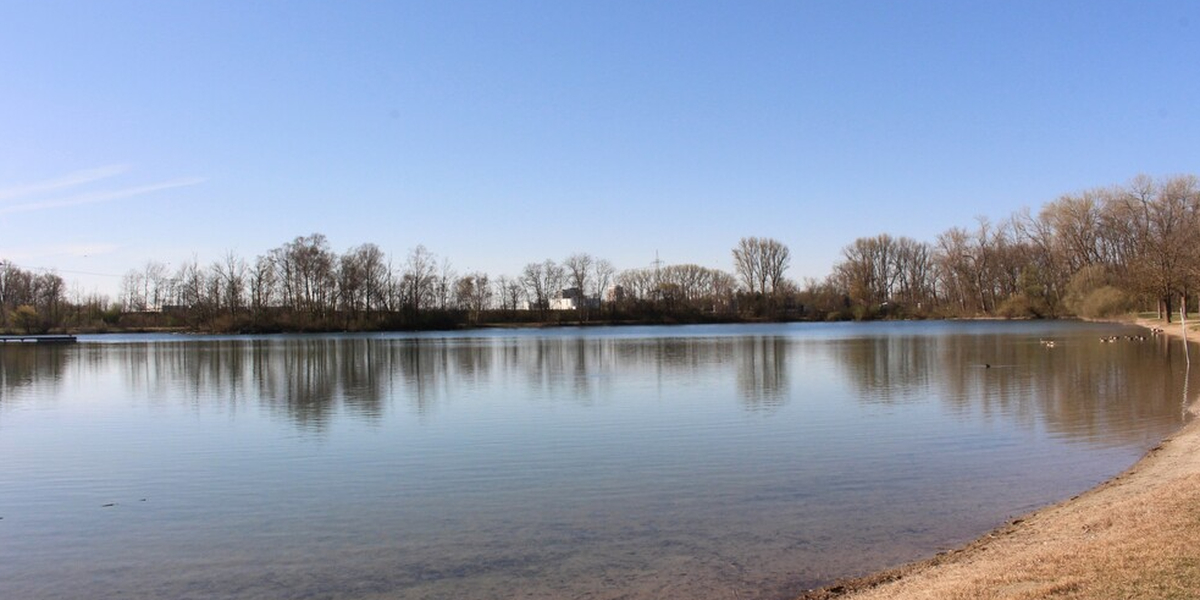Große Auswahl für Naturwasser-Ratten in Augsburg - Radio Fantasy ...